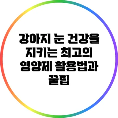 강아지 눈 건강을 지키는 최고의 영양제 활용법과 꿀팁