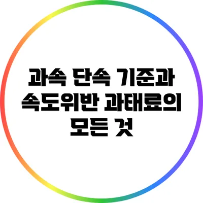 과속 단속 기준과 속도위반 과태료의 모든 것