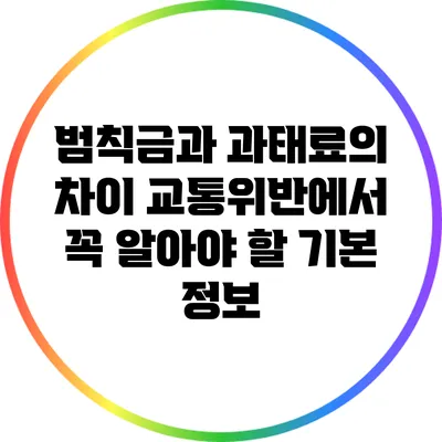범칙금과 과태료의 차이: 교통위반에서 꼭 알아야 할 기본 정보