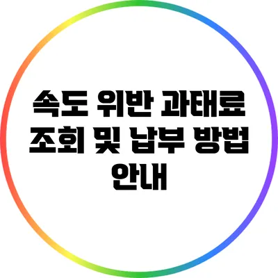 속도 위반 과태료 조회 및 납부 방법 안내
