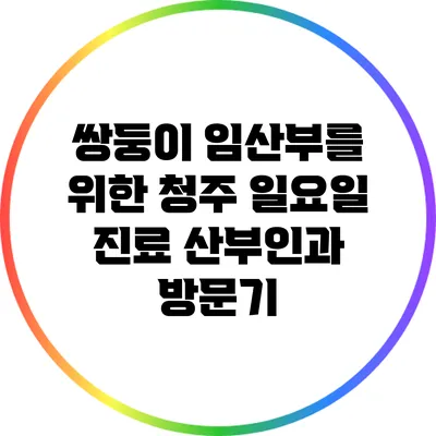 쌍둥이 임산부를 위한 청주 일요일 진료 산부인과 방문기