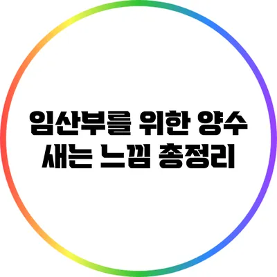 임산부를 위한 양수 새는 느낌 총정리