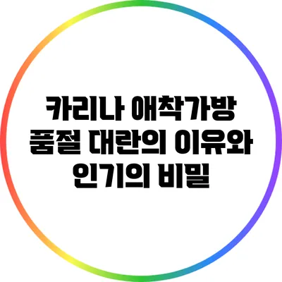 카리나 애착가방: 품절 대란의 이유와 인기의 비밀