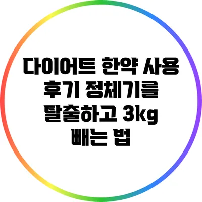 다이어트 한약 사용 후기: 정체기를 탈출하고 3kg 빼는 법