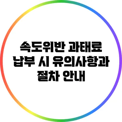 속도위반 과태료 납부 시 유의사항과 절차 안내