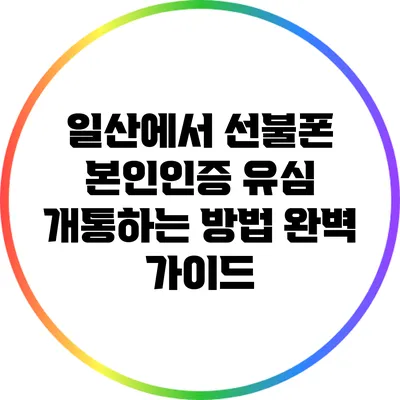 일산에서 선불폰 본인인증 유심 개통하는 방법 완벽 가이드