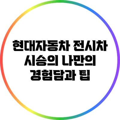현대자동차 전시차 시승의 나만의 경험담과 팁