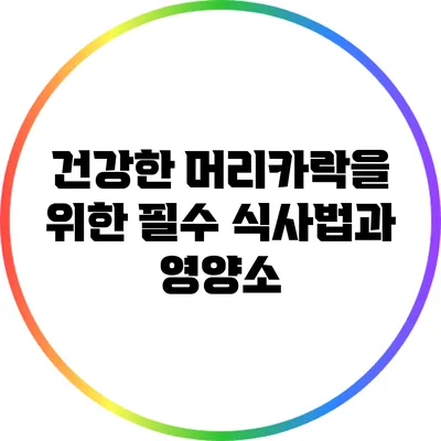 건강한 머리카락을 위한 필수 식사법과 영양소
