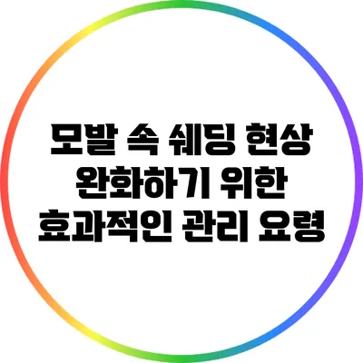 모발 속 쉐딩 현상 완화하기 위한 효과적인 관리 요령