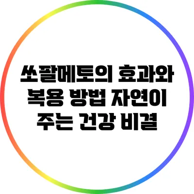 쏘팔메토의 효과와 복용 방법: 자연이 주는 건강 비결