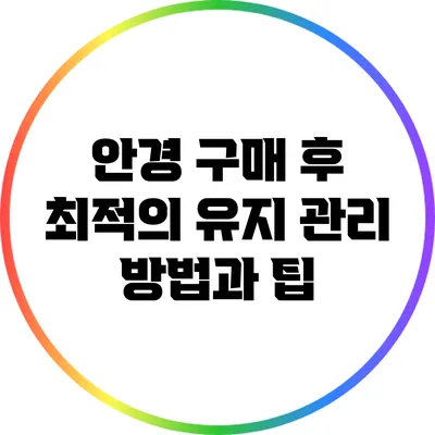 안경 구매 후 최적의 유지 관리 방법과 팁