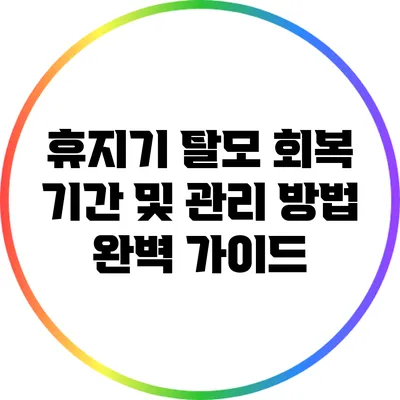 휴지기 탈모 회복 기간 및 관리 방법 완벽 가이드