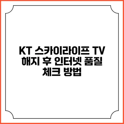 KT 스카이라이프 TV 해지 후 인터넷 품질 체크 방법