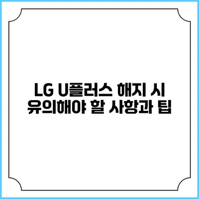 LG U플러스 해지 시 유의해야 할 사항과 팁