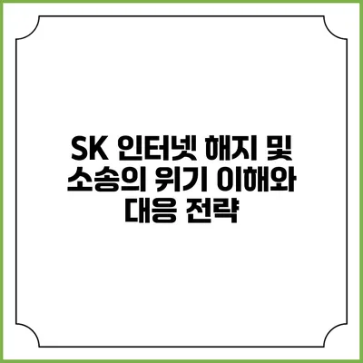 SK 인터넷 해지 및 소송의 위기: 이해와 대응 전략