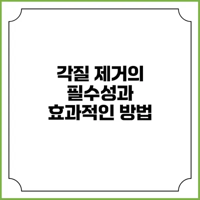 각질 제거의 필수성과 효과적인 방법