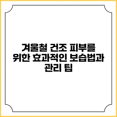 겨울철 건조 피부를 위한 효과적인 보습법과 관리 팁
