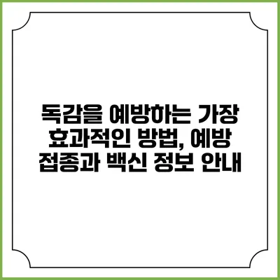 독감을 예방하는 가장 효과적인 방법, 예방 접종과 백신 정보 안내