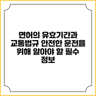 면허의 유효기간과 교통법규: 안전한 운전을 위해 알아야 할 필수 정보