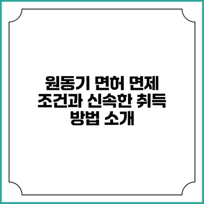 원동기 면허 면제 조건과 신속한 취득 방법 소개