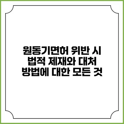 원동기면허 위반 시 법적 제재와 대처 방법에 대한 모든 것