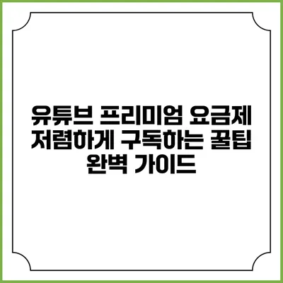 유튜브 프리미엄 요금제 저렴하게 구독하는 꿀팁 완벽 가이드
