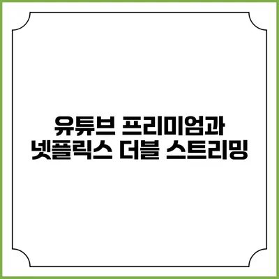 유튜브 프리미엄과 넷플릭스 더블 스트리밍