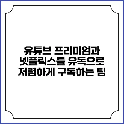유튜브 프리미엄과 넷플릭스를 유독으로 저렴하게 구독하는 팁
