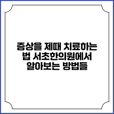 증상을 제때 치료하는 법: 서초한의원에서 알아보는 방법들