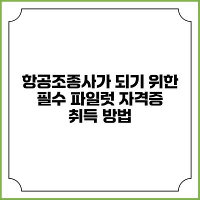 항공조종사가 되기 위한 필수 파일럿 자격증 취득 방법