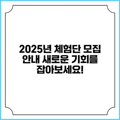 2025년 체험단 모집 안내: 새로운 기회를 잡아보세요!