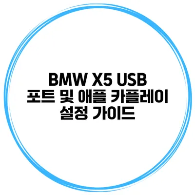 BMW X5 USB 포트 및 애플 카플레이 설정 가이드