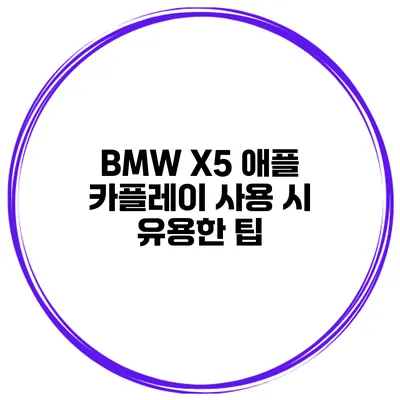 BMW X5 애플 카플레이 사용 시 유용한 팁