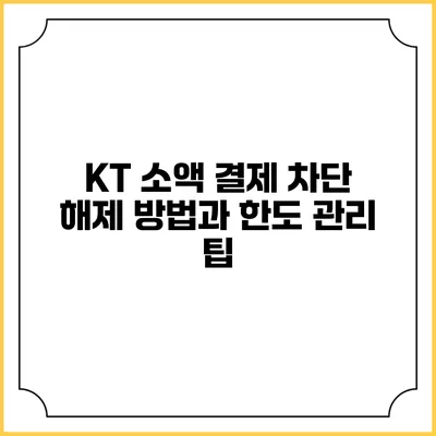 KT 소액 결제 차단 해제 방법과 한도 관리 팁