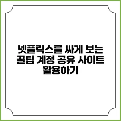 넷플릭스를 싸게 보는 꿀팁: 계정 공유 사이트 활용하기