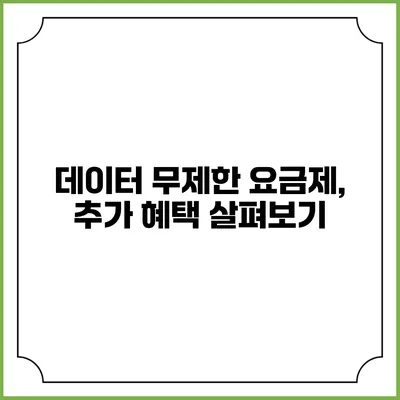 데이터 무제한 요금제, 추가 혜택 살펴보기