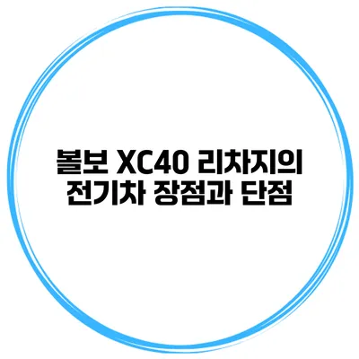 볼보 XC40 리차지의 전기차 장점과 단점