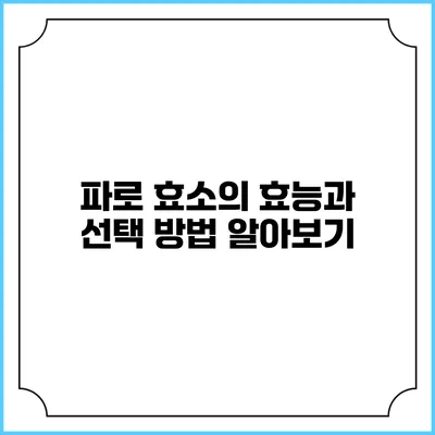 파로 효소의 효능과 선택 방법 알아보기