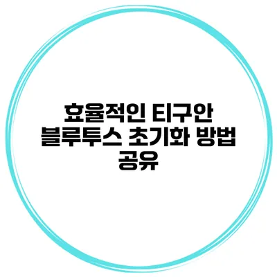 효율적인 티구안 블루투스 초기화 방법 공유