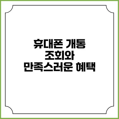휴대폰 개통 조회와 만족스러운 혜택