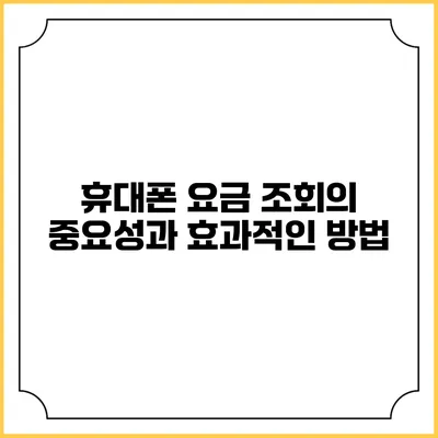 휴대폰 요금 조회의 중요성과 효과적인 방법